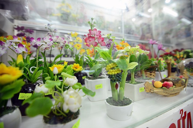 Muôn vẻ hoa ... đất chơi Tết ảnh 2